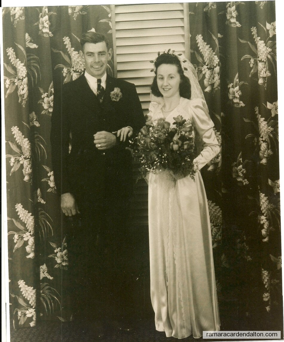 Photo of the day 3215 - Photo of the day