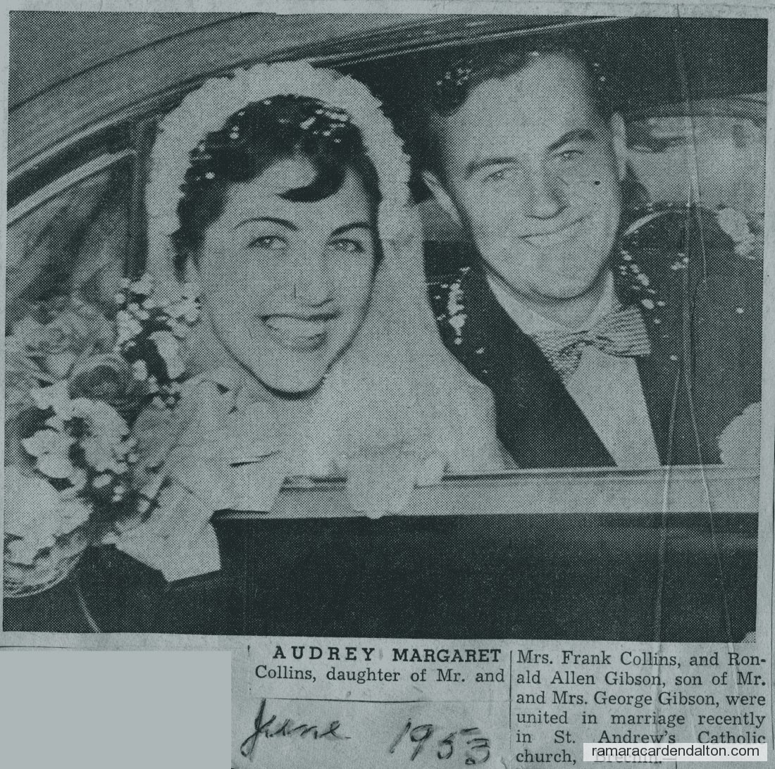 Photo of the day 3219 - Photo of the day