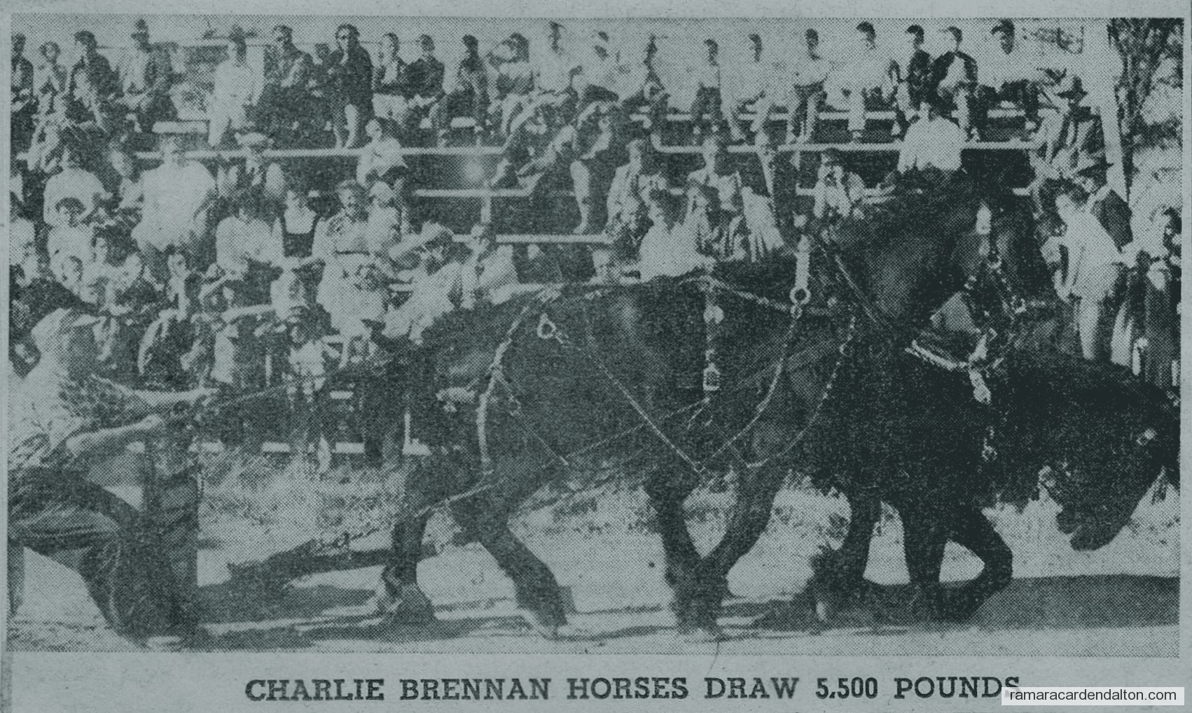 Photo of the day 3220 - Photo of the day