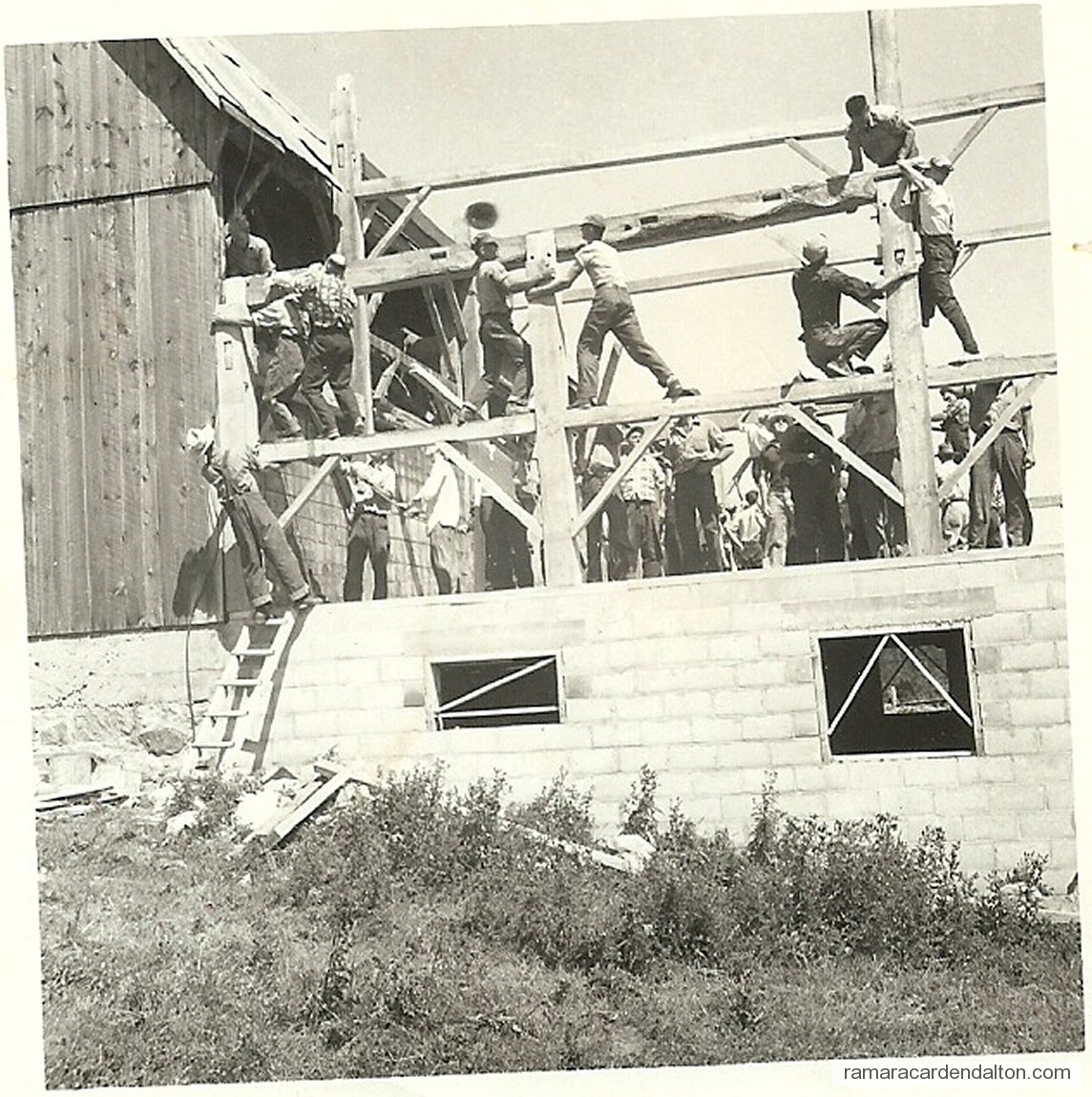 Photo of the day 3225 - Photo of the day