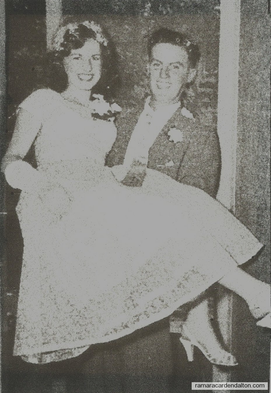 Photo of the day 3227 - Photo of the day