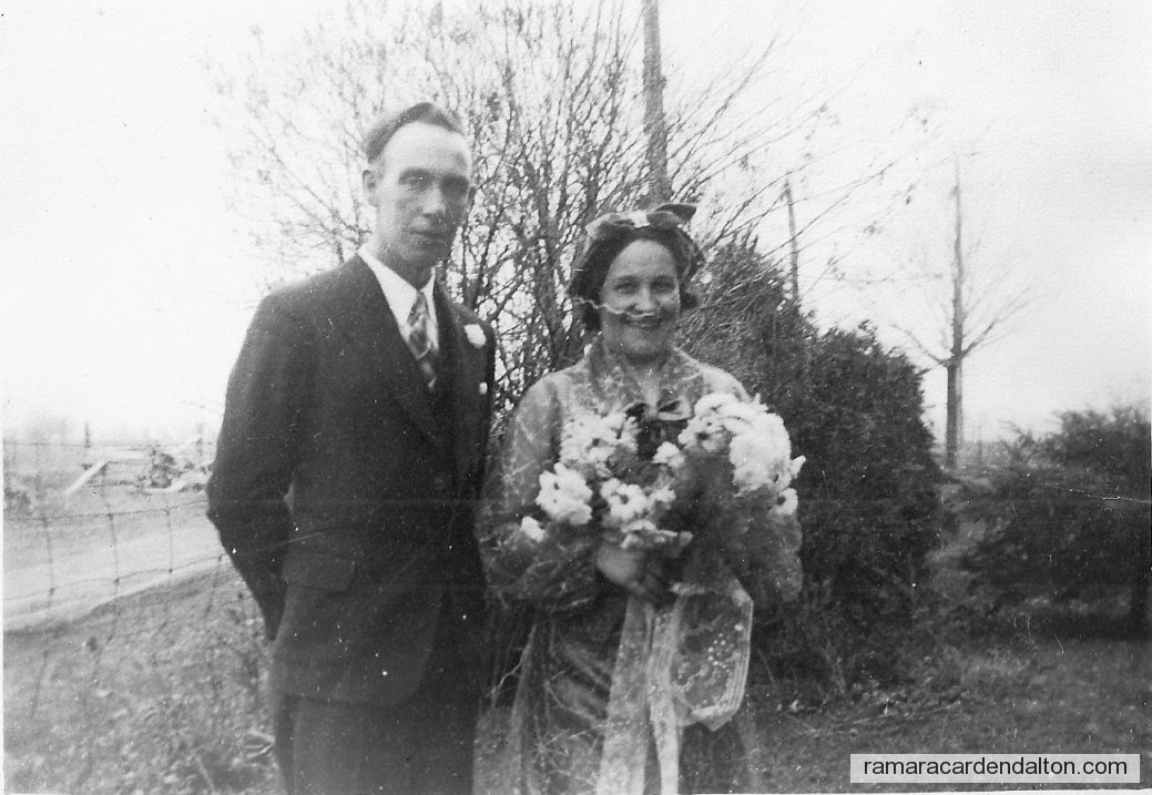 Photo of the day 3228 - Photo of the day