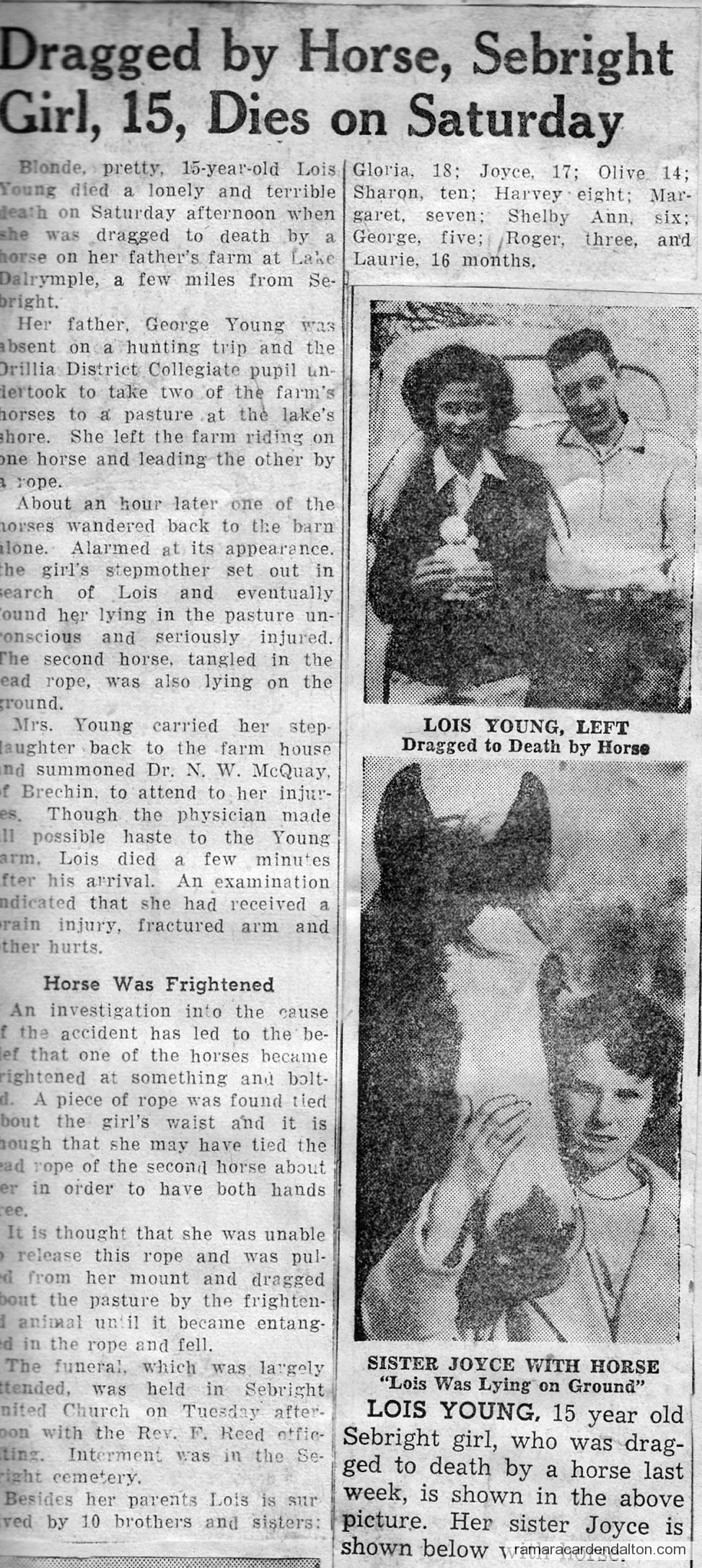 Dragged by horse-Sebright girl Dragged by horse-Sebright girl