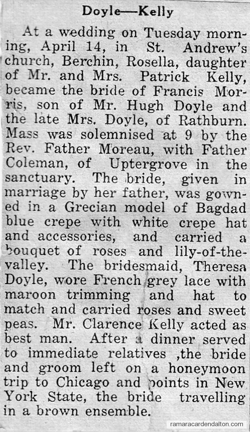 Photo of the day 3238 - Photo of the day