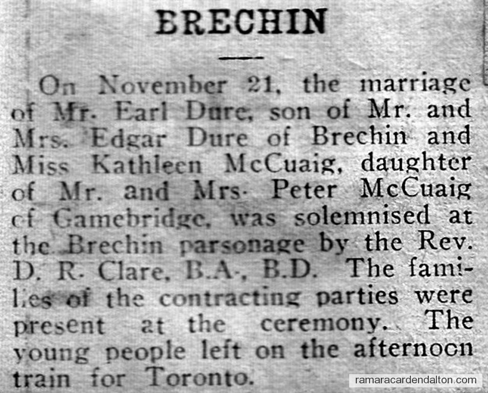 Photo of the day 3241 - Photo of the day