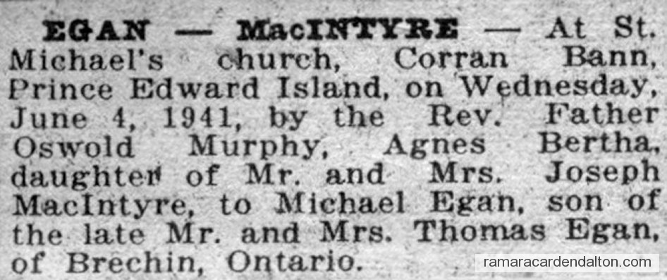 Photo of the day 3249 - Photo of the day