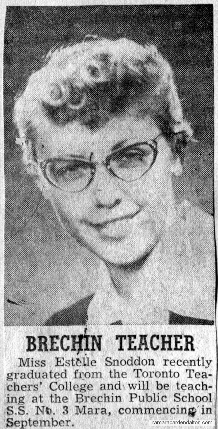 Photo of the day 3253 - Photo of the day