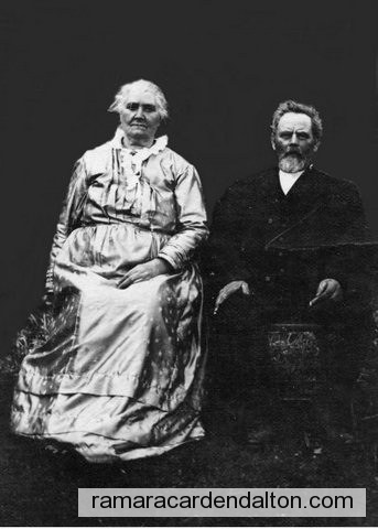 Photo of the day 3267 - Photo of the day