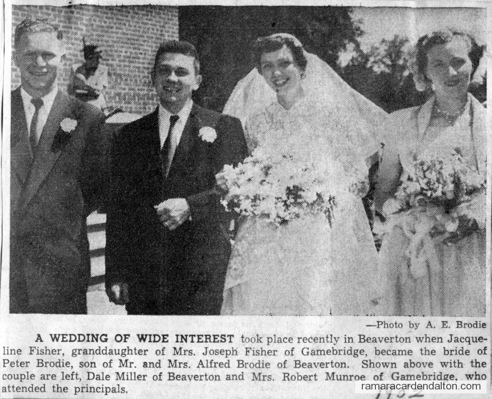 Photo of the day 3289 - Photo of the day