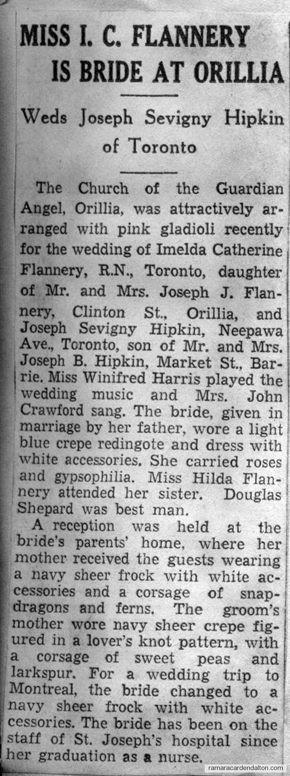 Photo of the day 3290 - Photo of the day