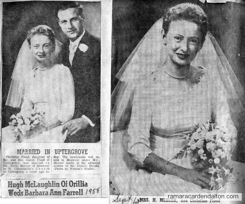 Photo of the day 3295 - Photo of the day