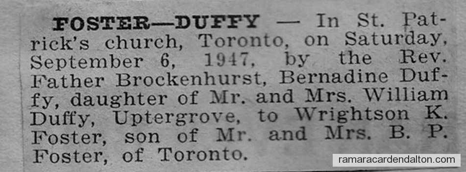 Photo of the day 3300 - Photo of the day