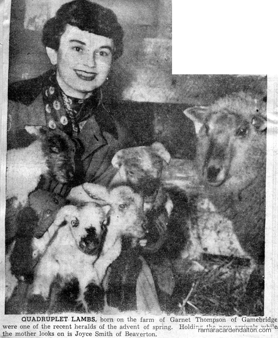 Photo of the day 3315 - Photo of the day