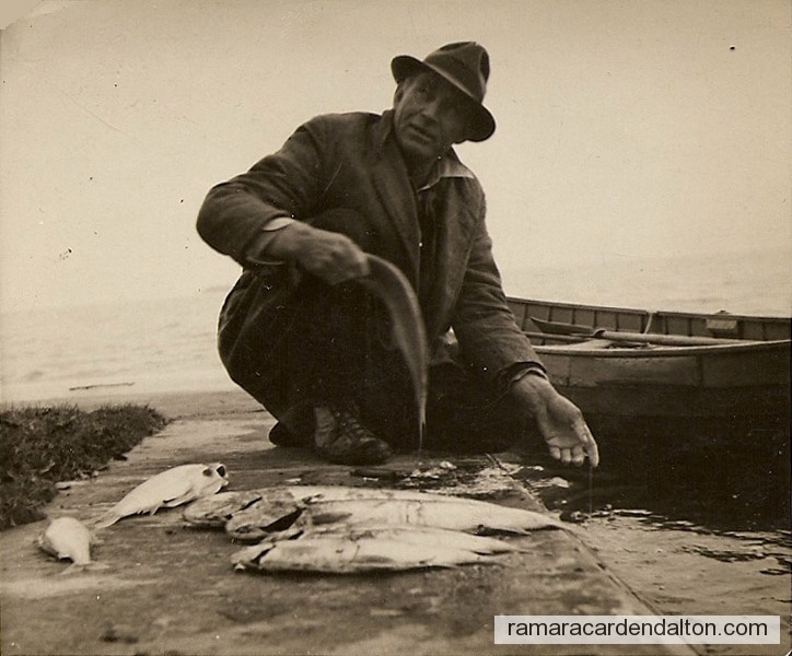 Photo of the day 3331 - Photo of the day