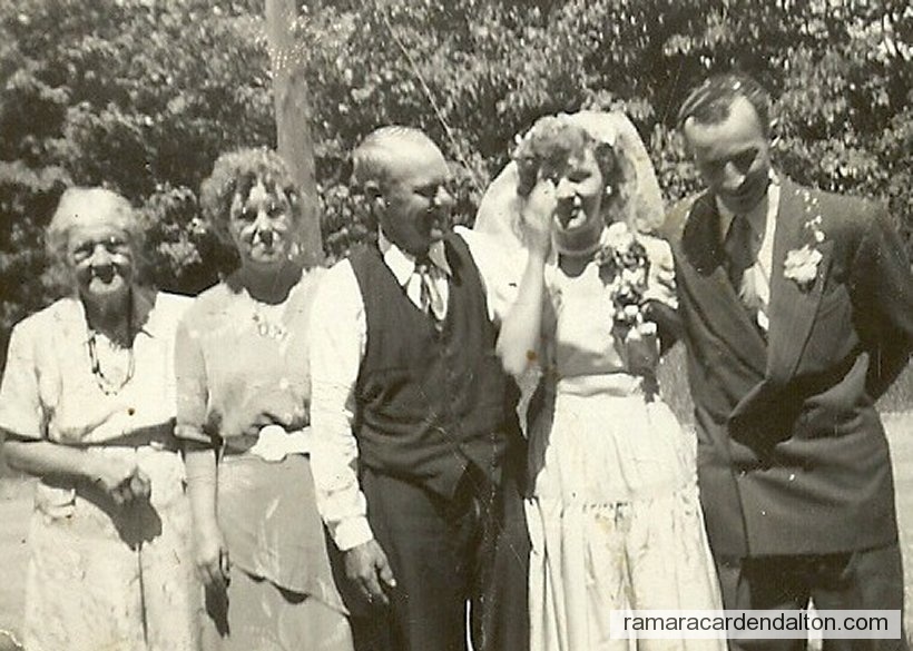 Photo of the day 3340 - Photo of the day