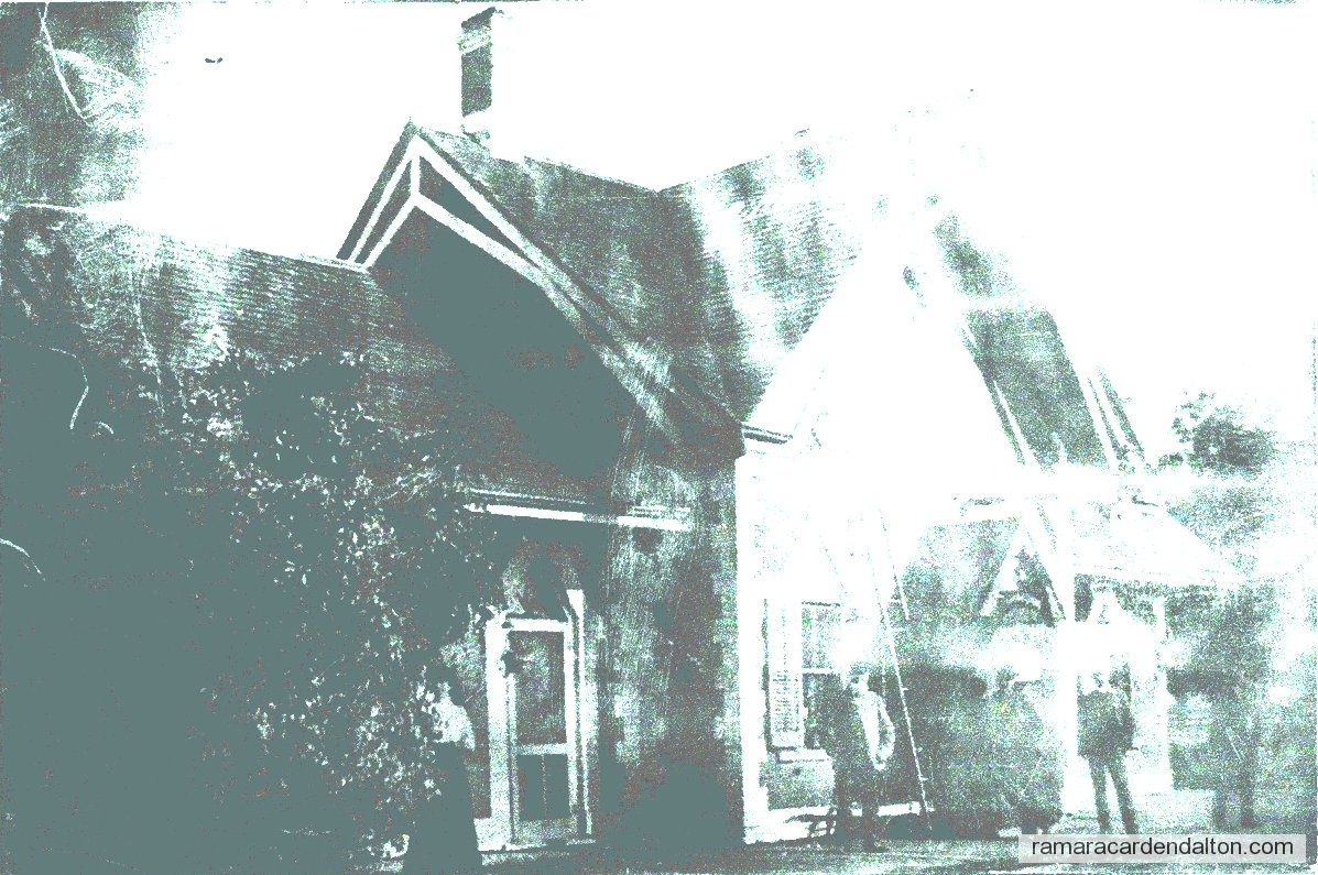 Photo of the day 3342 - Photo of the day