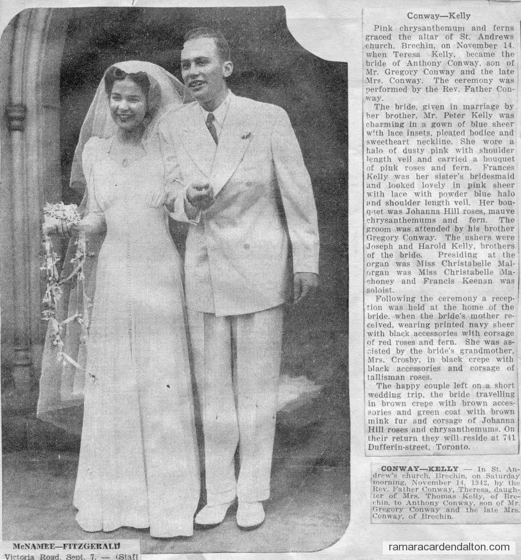 Photo of the day 3348 - Photo of the day