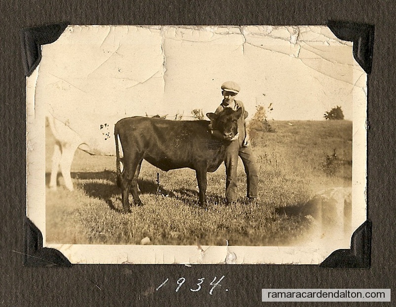 Photo of the day 3373 - Photo of the day