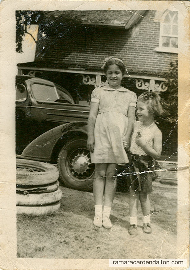 Photo of the day 3376 - Photo of the day