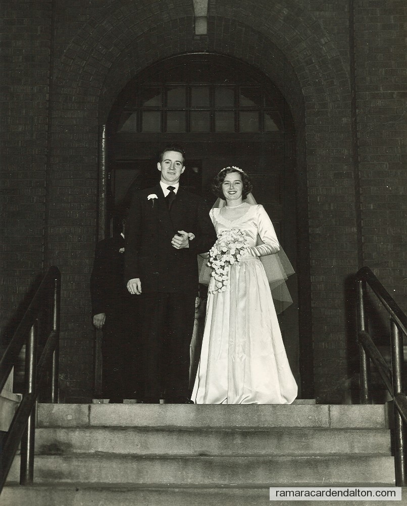 Photo of the day 3377 - Photo of the day