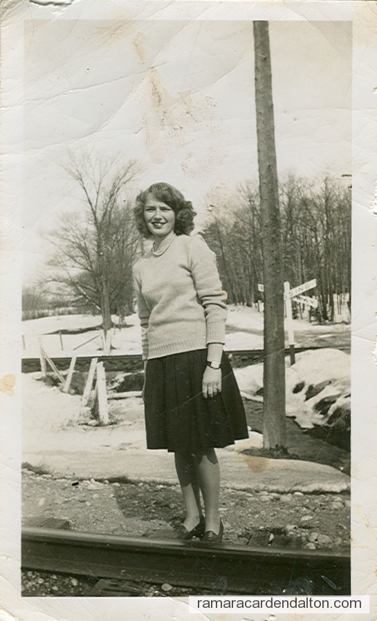 Photo of the day 3378 - Photo of the day