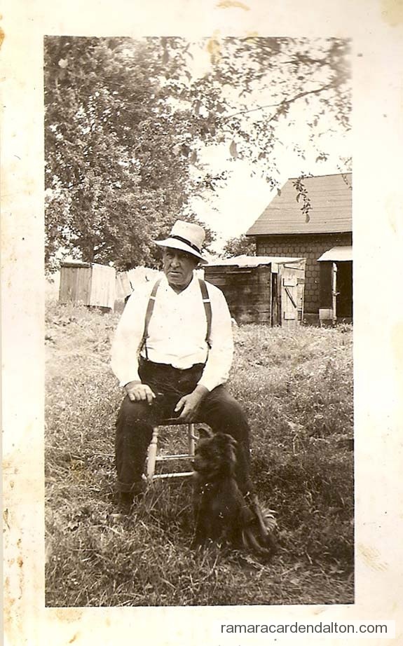 Photo of the day 3379 - Photo of the day