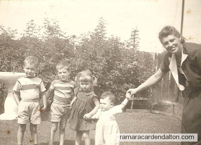 Photo of the day 3380 - Photo of the day