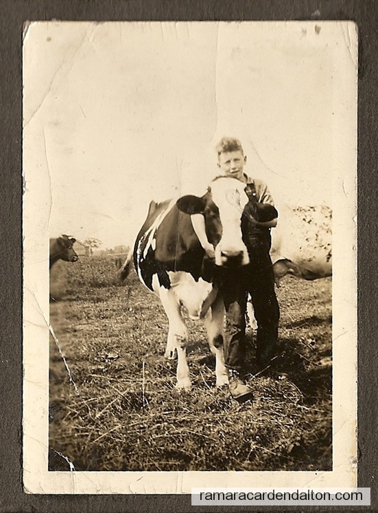 Photo of the day 3386 - Photo of the day