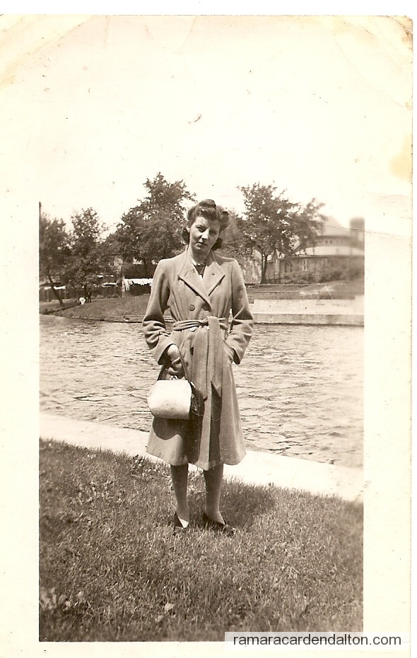 Photo of the day 3389 - Photo of the day