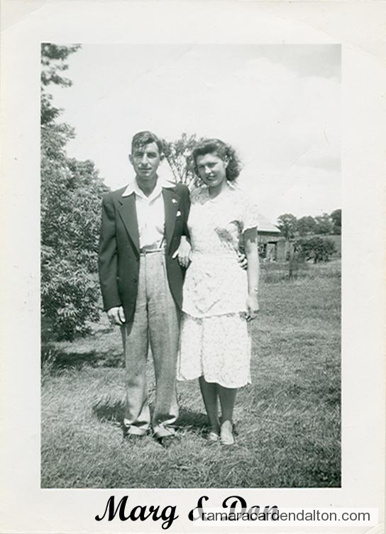 Photo of the day 3391 - Photo of the day