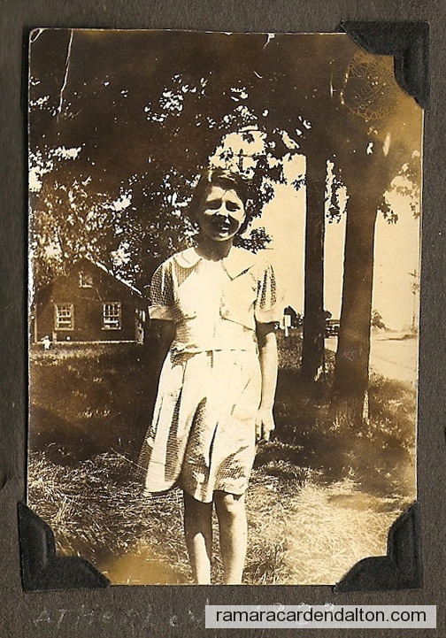 Photo of the day 3394 - Photo of the day