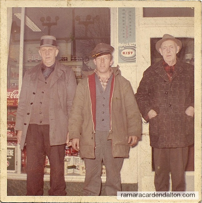 Photo of the day 3396 - Photo of the day