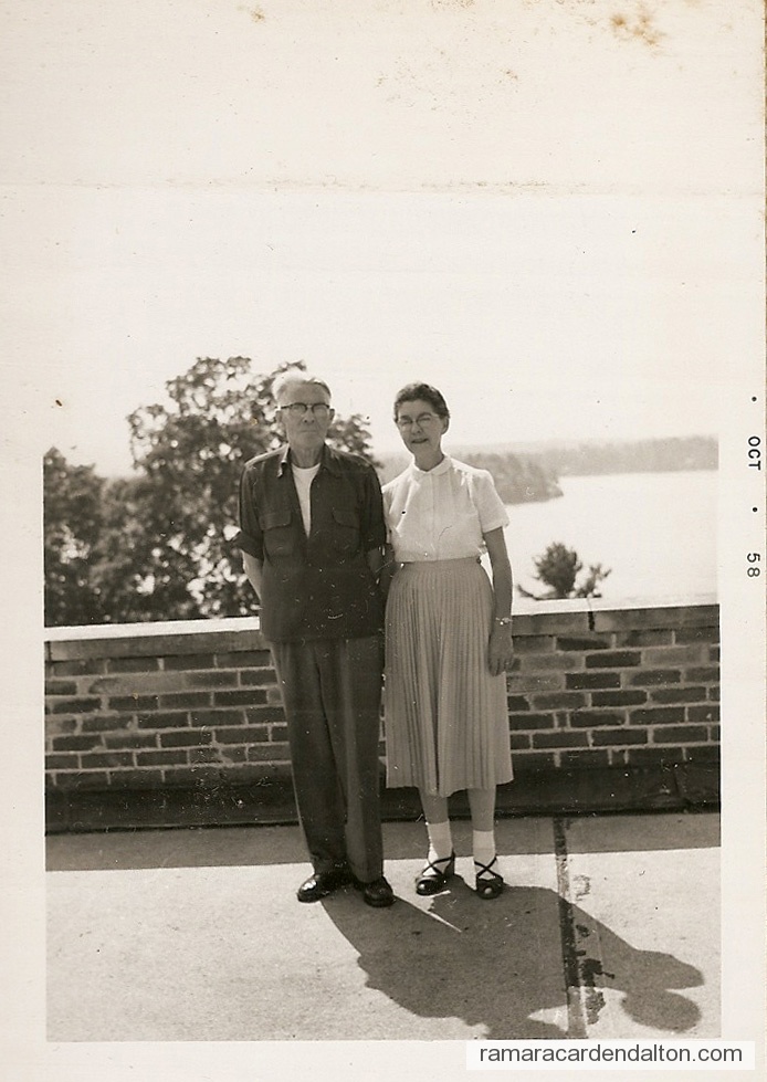 Photo of the day 3397 - Photo of the day