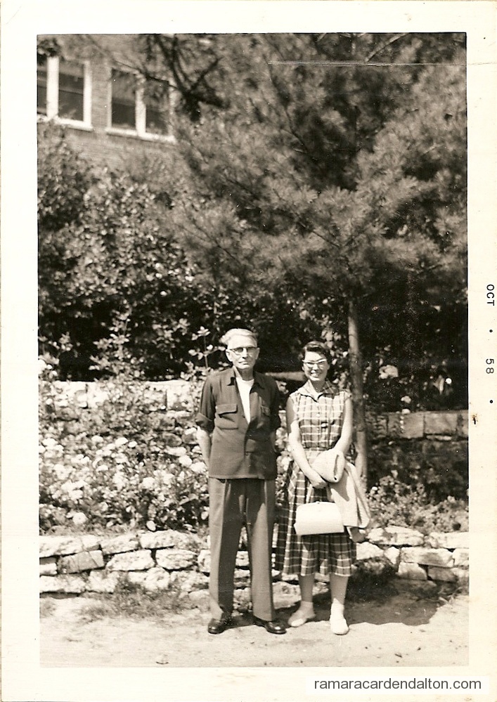 Photo of the day 3398 - Photo of the day