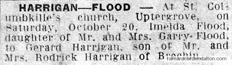 Photo of the day 3413 - Photo of the day