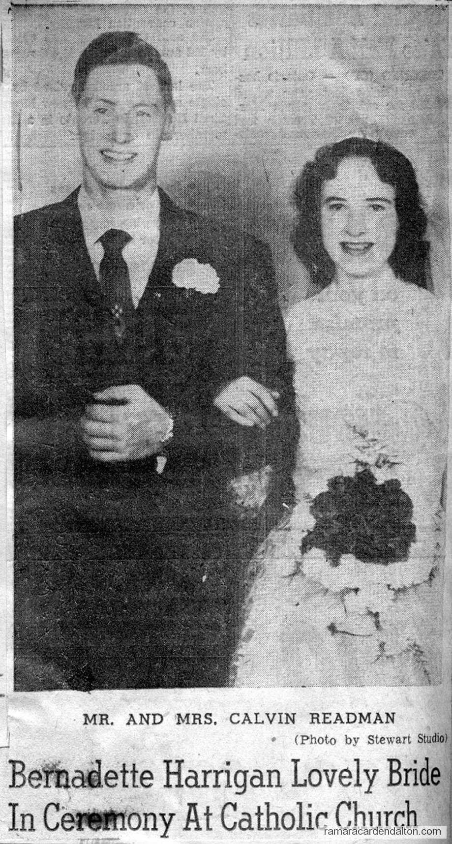 Photo of the day 3414 - Photo of the day