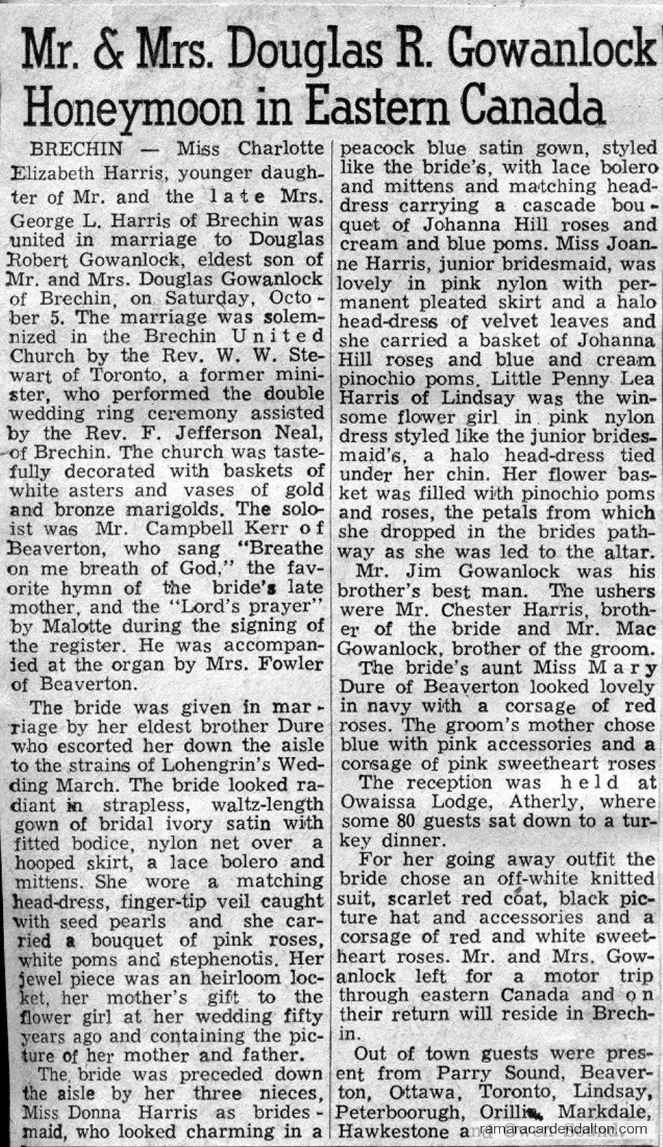 Photo of the day 3420 - Photo of the day