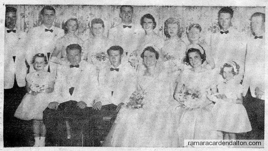 Photo of the day 3426 - Photo of the day