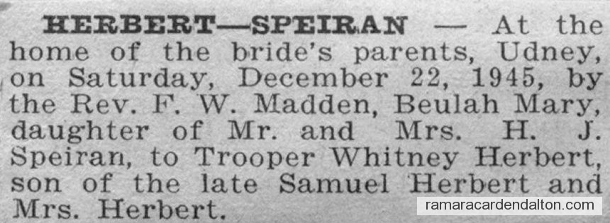 Photo of the day 3435 - Photo of the day