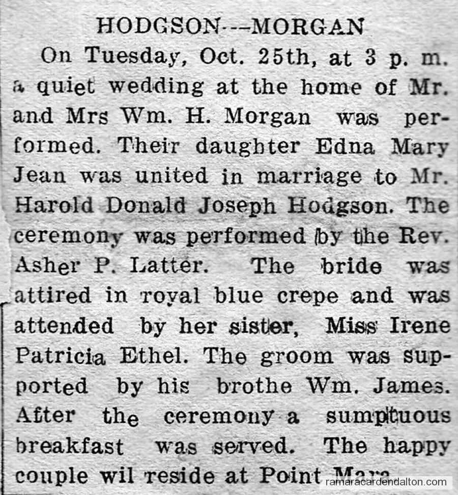 Photo of the day 3438 - Photo of the day