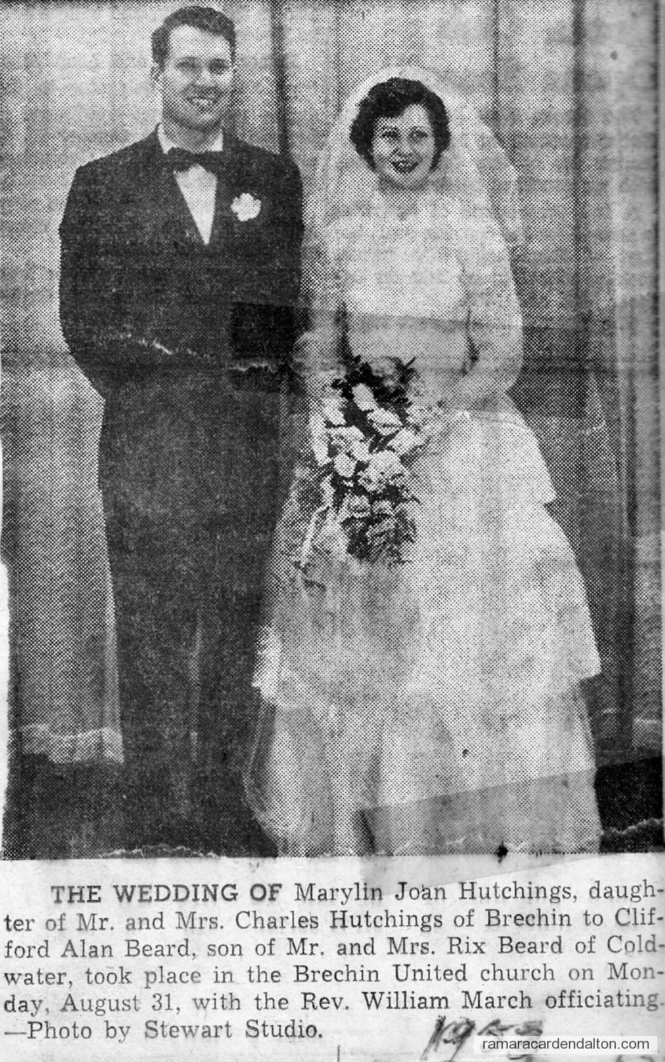 Photo of the day 3442 - Photo of the day