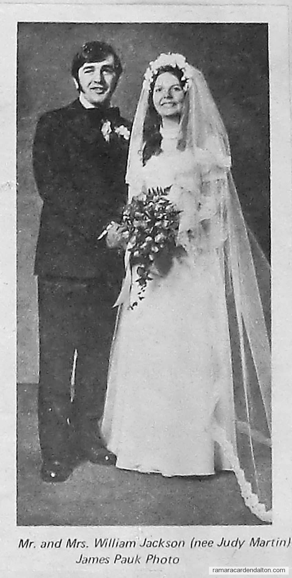 Photo of the day 3446 - Photo of the day