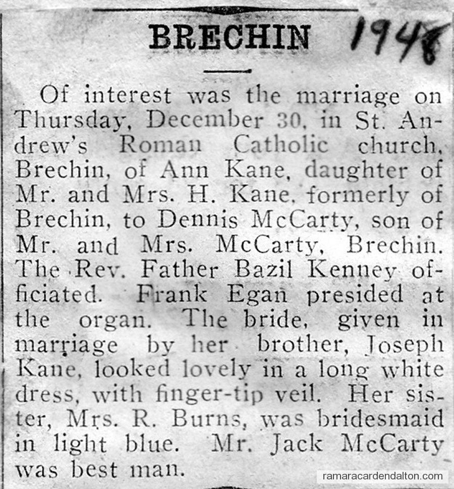 Photo of the day 3448 - Photo of the day