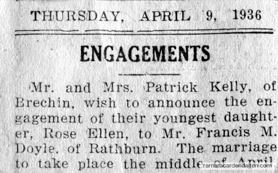 Photo of the day 3467 - Photo of the day