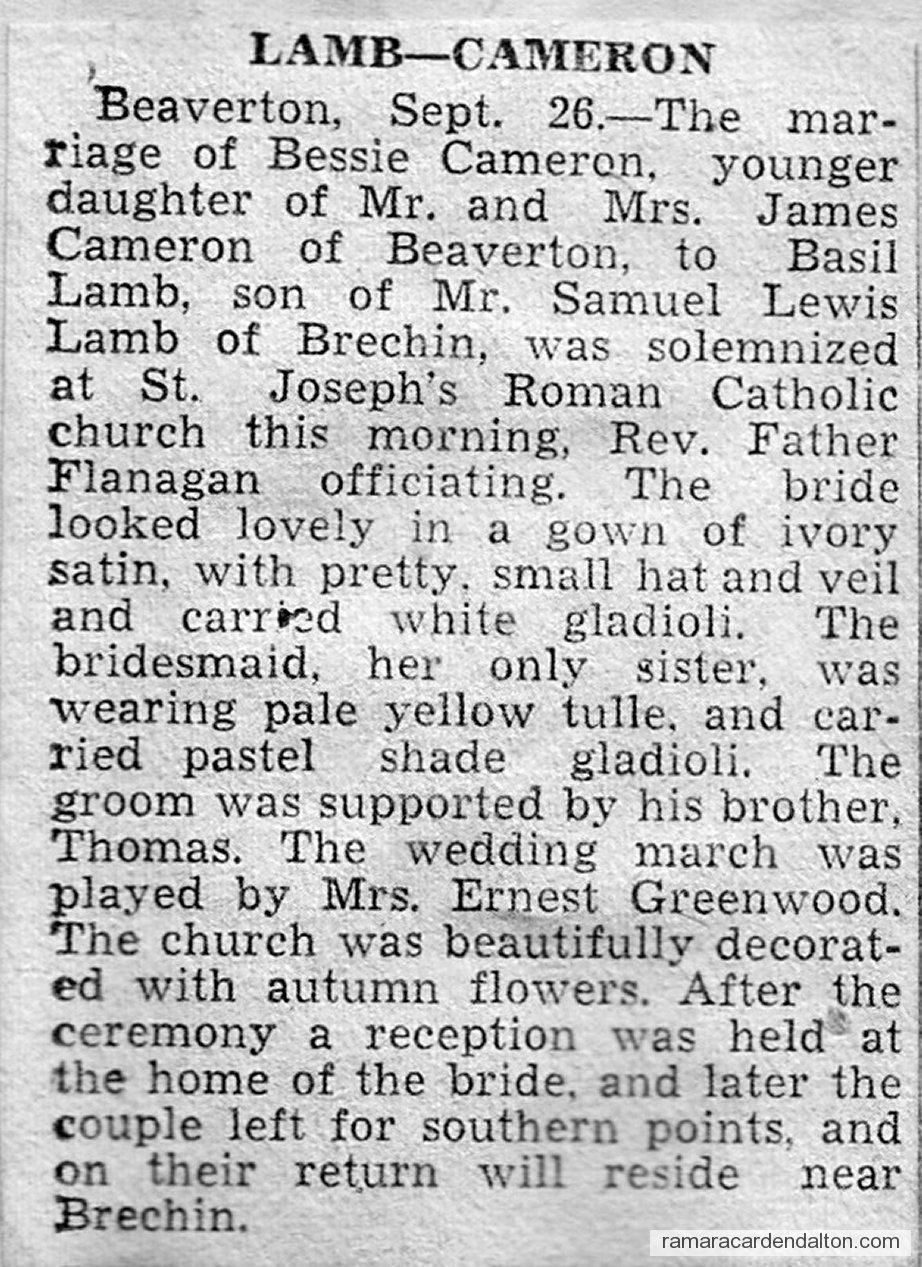 Photo of the day 3471 - Photo of the day