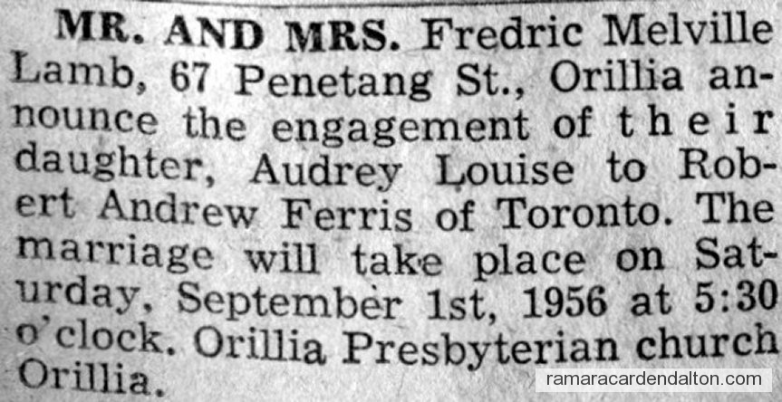 Photo of the day 3475 - Photo of the day