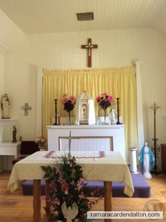 Photo of the day 3479 - Photo of the day