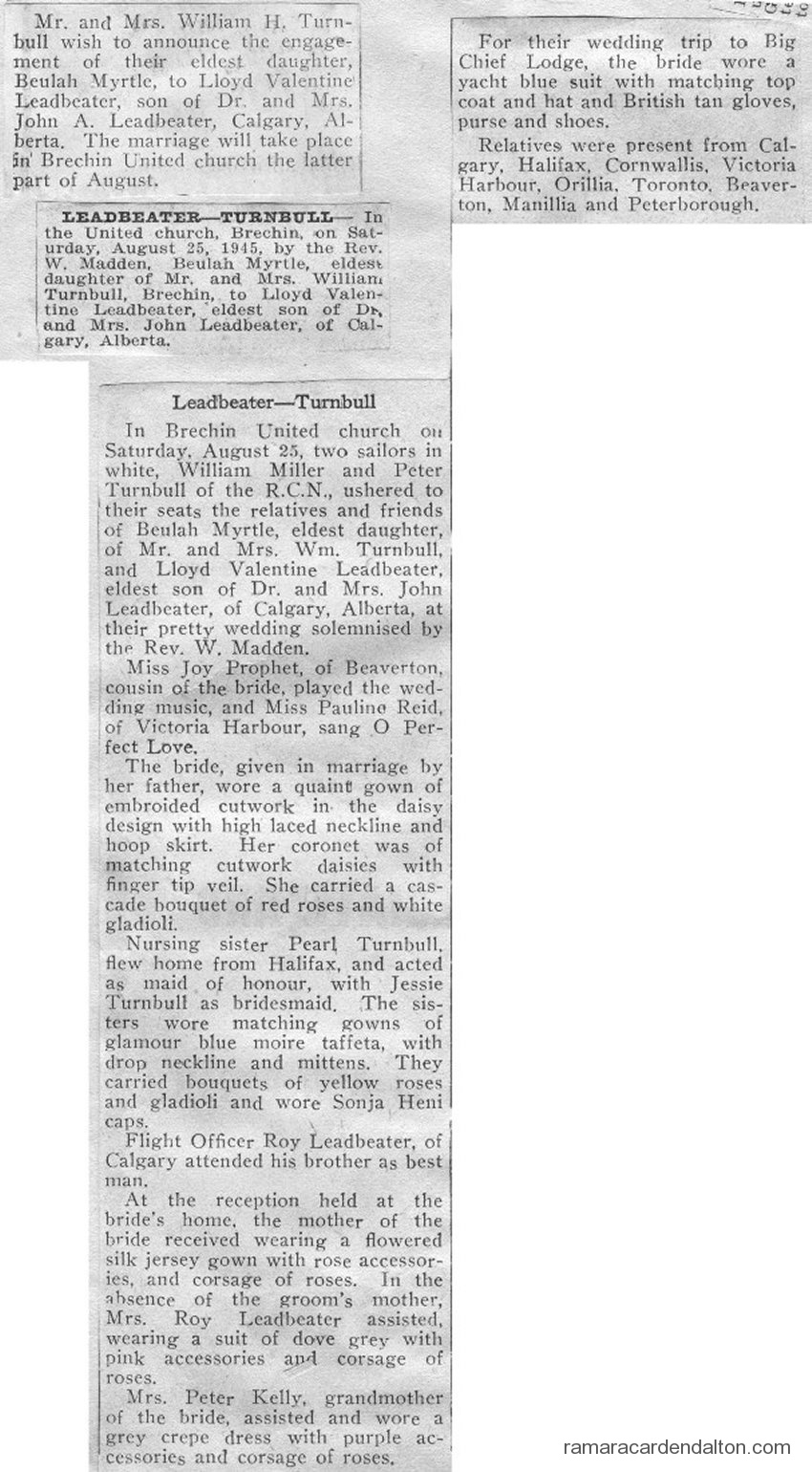 Photo of the day 3482 - Photo of the day