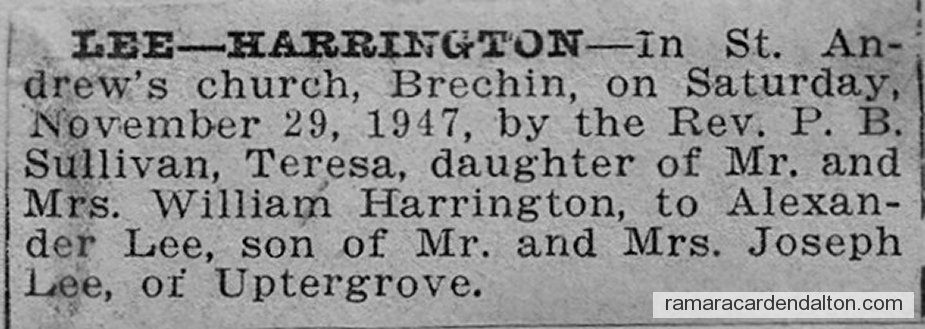 Photo of the day 3484 - Photo of the day