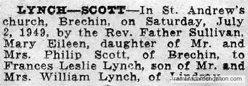 Photo of the day 3493 - Photo of the day